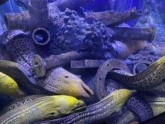 -成都浩海立方海洋公园