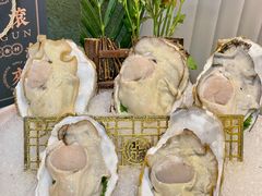 -喜聚薈·花膠雞海鮮火鍋(越秀店)