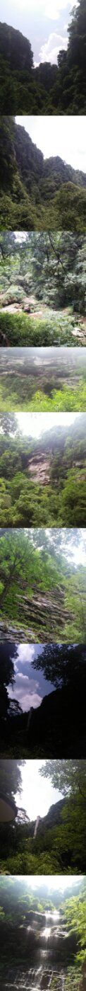 -碧峰峡风景区