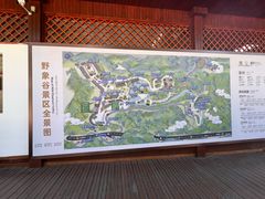 -野象谷景区