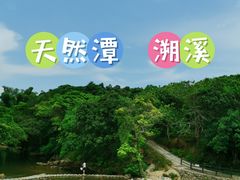 -杨梅坑