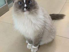 -美迦爱-牙专科·兔科·骨科诊疗中心(北苑店)