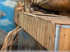 -泉州海丝野生动物世界