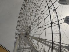 -摩天活力城·摩天轮