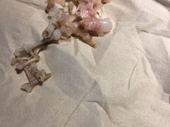 藤椒牛蛙面-十面春风·江南面馆(崇宁路店)