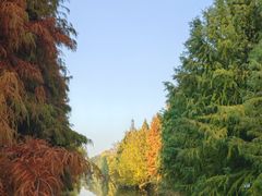 -昆山城市生态森林公园