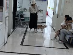 -派美特宠物医院·核磁CT·骨科肿瘤·疑难转诊(沈农禾丰店)