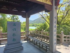-长广溪湿地公园