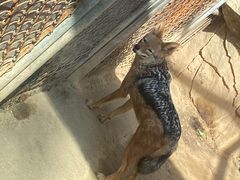 -石家庄市动物园