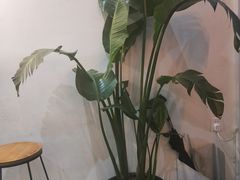 -常识咖啡common sense(春熙路店)