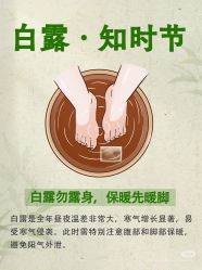 -雅曼妮spa美容养生