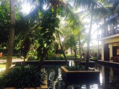 -亚龙湾喜来登·美景台大堂吧