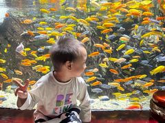 -太平洋海底世界