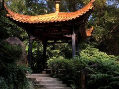 -广州兰圃