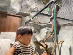 -Zoolung Zoolung动物主题公园(海信广场店)