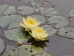 -黄兴公园