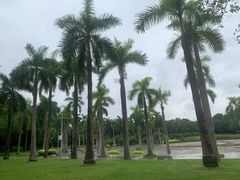 -南宁南湖公园