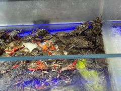 -悦橙烤肉海鲜自助(中央大街店)