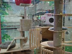 -吾悦广场(天津和平店)