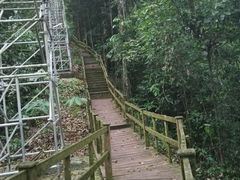 -乌鲁淡布隆国家公园