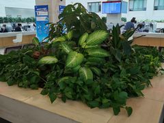 -浦东市民中心-停车场