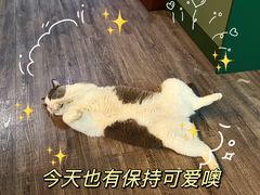 -后院儿·精酿·塔罗Happy Bar