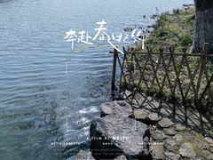 -茅家埠