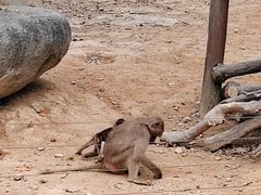 -泉州海丝野生动物世界