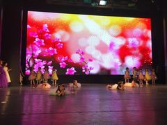 -美育儿童音乐舞蹈国际机构(浦东分校)