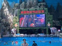 -青岛东方影都融创水世界