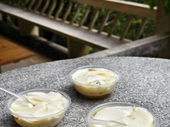 -南海湾森林生态园