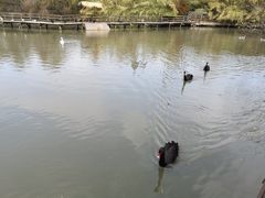 -溱湖国家湿地公园