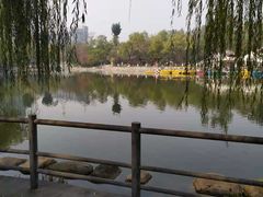 -莲湖公园