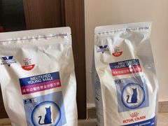 -瑞派动物医院·绝育·犬猫全科·预防医学(光景江南中店)