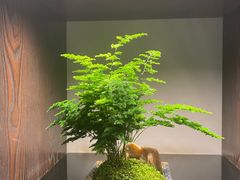 -双季花艺园艺市场(浦东店)