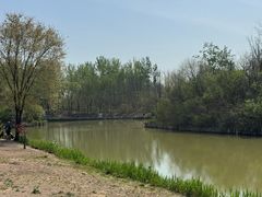 -塘沽森林公园