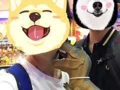 -玩具反斗城(怡丰城店)
