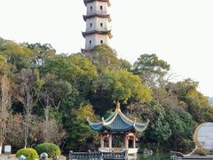 -江心屿景区