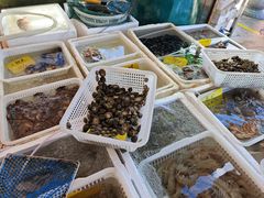 -外伶仃岛海鲜市场