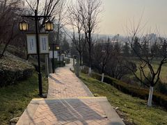 -长安文化生态公园