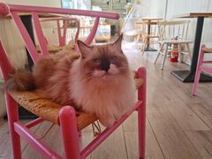 -灯塔咖啡馆BOOK·Coffee Shop