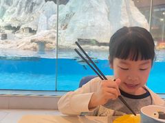 -帝企鹅自助餐厅•儿童岛•真企鹅(长隆企鹅酒店)