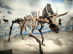 -辽宁古生物博物馆