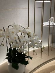 -AURAS璈然科技护肤中心