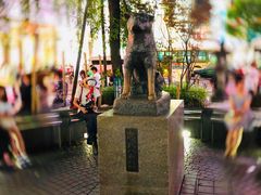 -涩谷区