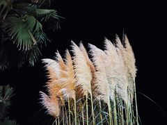 -嵊泗基湖沙滩