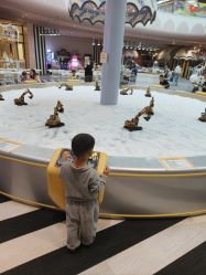 -超级奈尔宝SUPER NEOBIO(杭州星光店)