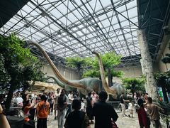 -国家自然博物馆