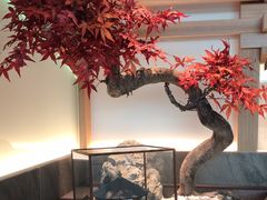-阿吾罗·月咏精致日料(港汇恒隆广场店)