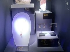 -湖南省地质博物馆